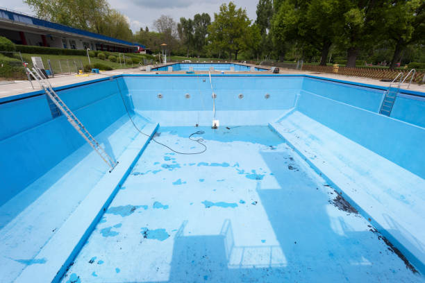 Best Mold removal after water damage  in Thorp, WI