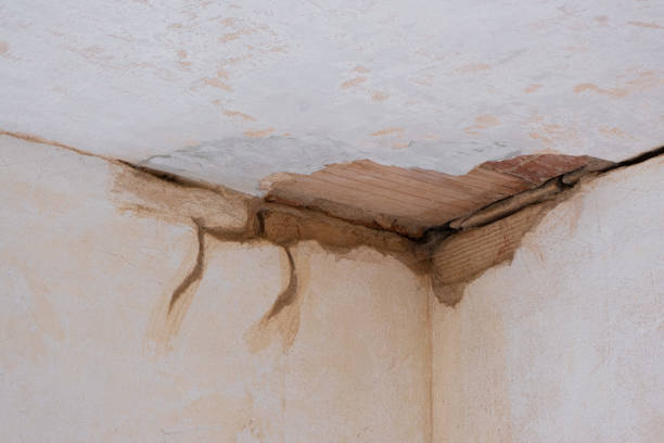 Best Flood restoration services  in Thorp, WI