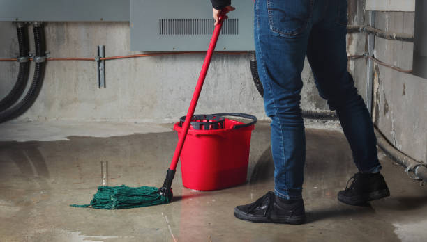 Best Flooded house restoration  in Thorp, WI