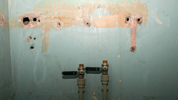 Best Water damage restoration near me  in Thorp, WI