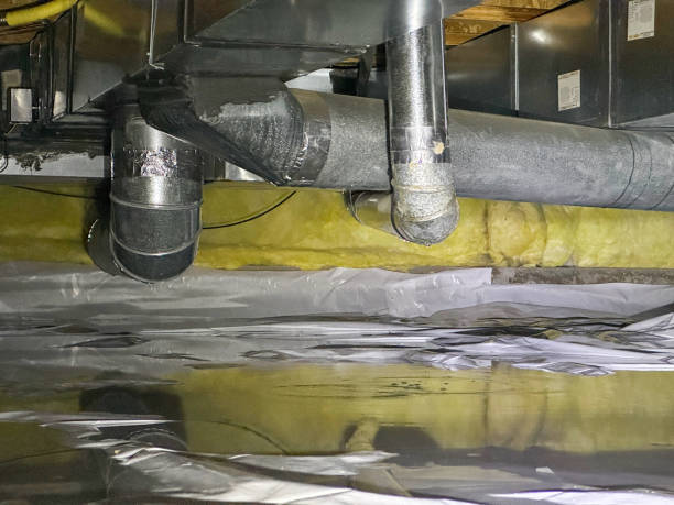Best Water damage cleanup near me  in Thorp, WI