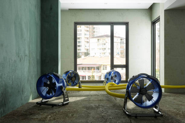 Best Sewage cleanup and water damage restoration  in Thorp, WI