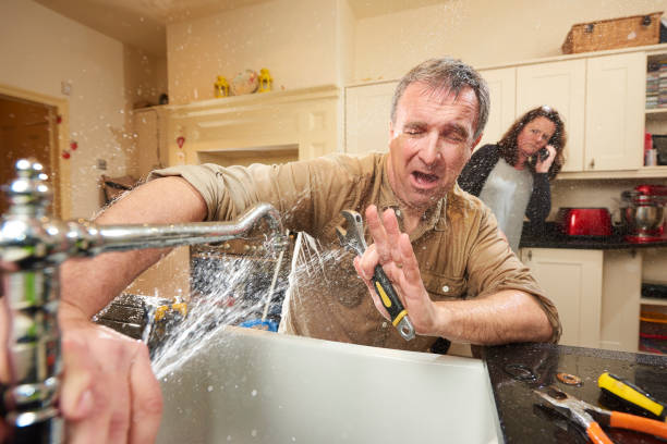 Best Carpet water damage restoration  in Thorp, WI